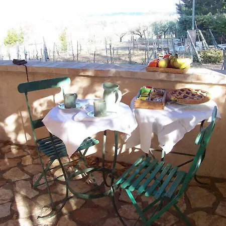 Il Vigneto Spoleto Farma San Sabino