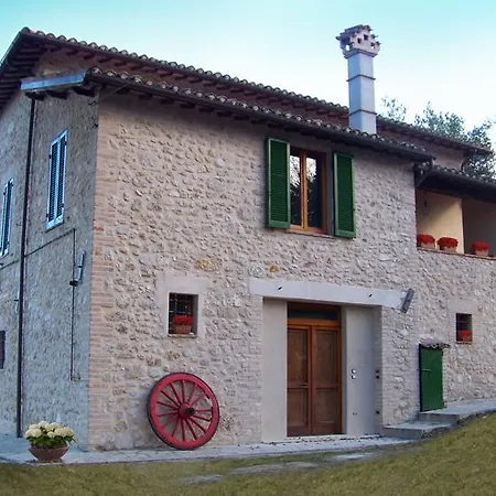 Il Vigneto
