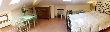 Il Vigneto *